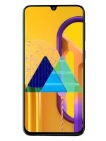 Samsung Galaxy M30s