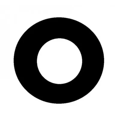 Camera Lens for Vivo Y55S Grey by Sparestream