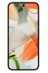 Google Pixel 9