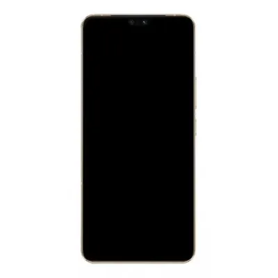 LCD Screen for Vivo S12 5G (replacement display without touch) by Sparestream