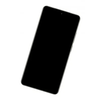 LCD Frame Middle Chassis for Realme GT 7 Pro - Grey by Sparestream