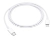 Type C for Apple iPhone 11 - By Sparestream