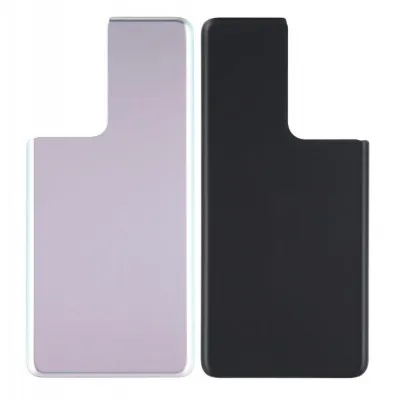 Back Panel Cover for Samsung Galaxy S21 Ultra - Silver by Sparestream