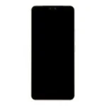 LCD Screen