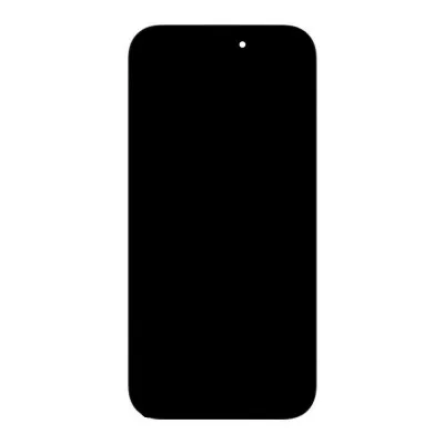 LCD Screen